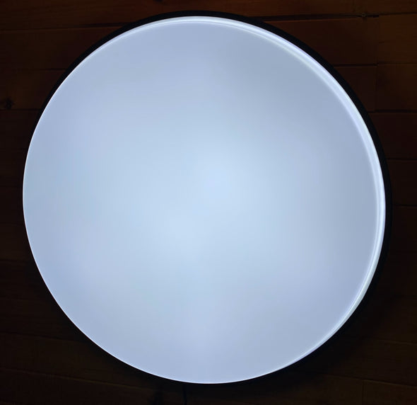 18" Replacement Globe (2 units)